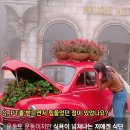 드림PT 이미지