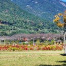 황산공원 이미지