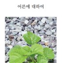 효돈중학교 이미지