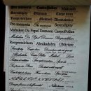 송호초사거리(송호초) 이미지