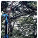 성호지질 - 북구 국우동 | 성호지질