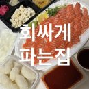 청주 가경동 맛집 l 회싸게파는집활어직판장 산지직송 동네 연어횟집 후기