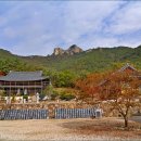 우금 티스토리