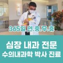 BB 동물병원 이미지