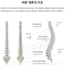 바른자세운동 이미지