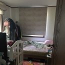 남문동물병원 이미지