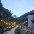 샛담농장 네이버블로그