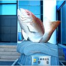 수산과학관 이미지