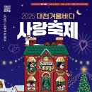 대천겨울바다사랑축제 2025년 12월 24일 개막 핵심 정보 이미지