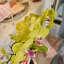 파리바게뜨쌍암점 이미지