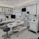 청담리덴동물치과병원 | 강남동물병원 청담리덴 동물치과병원 치과 전문 동물병원