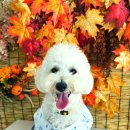 호텔델루멍 이미지