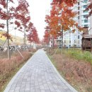 e편한세상 용인 한숲시티 5단지 이미지