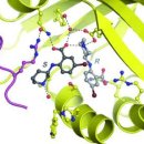 효소테라피 이미지