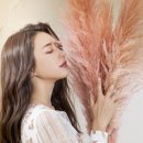 필라인의원 이미지