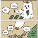 LAZY MORNING 이미지