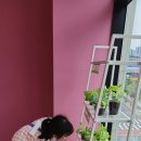 대치동영재국제학교프로그램