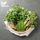 코비한의원 이미지