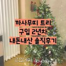 까사무띠 트리 내돈내산 2년차 솔직 후기