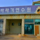 삼향동초등학교 이미지