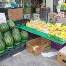 임학중학교 앞 이미지