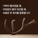 이종환한의원 이미지