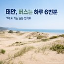 [남부] (야간)캘리그라피(2025) | 태안 당일치기, 차 없이 신두리 사구·천리포수목원