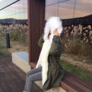 꿀꿀호떡