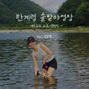 한계2리재내마을 | 강원도 인제 계곡이 있는 애견동반 캠핑장 &#39;한계2리 솔밭야영장&#39; 2박 3일 여름캠핑