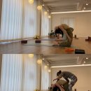 아름콩