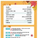 [주말] 힐링악기 우쿨렐레 네이버블로그