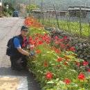 신덕해수욕장 이미지