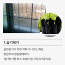커넥트에스 이미지
