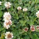 조종보건진료소 이미지