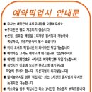 도리스 이미지