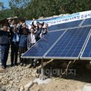 써니플랜트