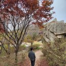 [충남 홍성군] 11월 단풍 명소 구경하러 백월산, 차 타고 정상까지!