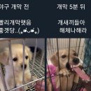 행님푸드 | 🦖) 고척스카이돔 직관 후기. 잠실 야구장도 재방문, 재재방문까지 .