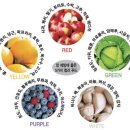 양보단 색 오색채소 건강요리 이미지