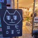 [동해 묵호] 소품샵/독립서점 투어 | 묘한동해 | 끼룩상점 | 고래 | 바다바란 | 111호 프로젝트 등