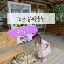 포천 아이랑 실내 동물원 | 동물 먹이주기 체험 가능한 주파크 후기