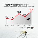 "여름보다 지금 더 많이 물려"…모기떼 10월말까지 이어진다 이미지