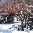 서운동산 이미지