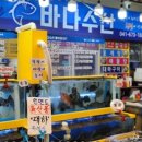 안면도수산시장(안면도장터) 이미지