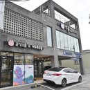 다인영농조합 | 신선했던 제주 천혜향 택배