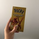 김샌도 | [H-3] 알로하~ 니가 가라 하와이