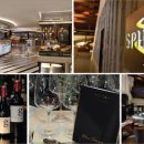 퍼시픽 티지 이미지