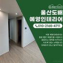 일동알파 이미지