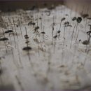 원탑방역