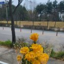 93도씨